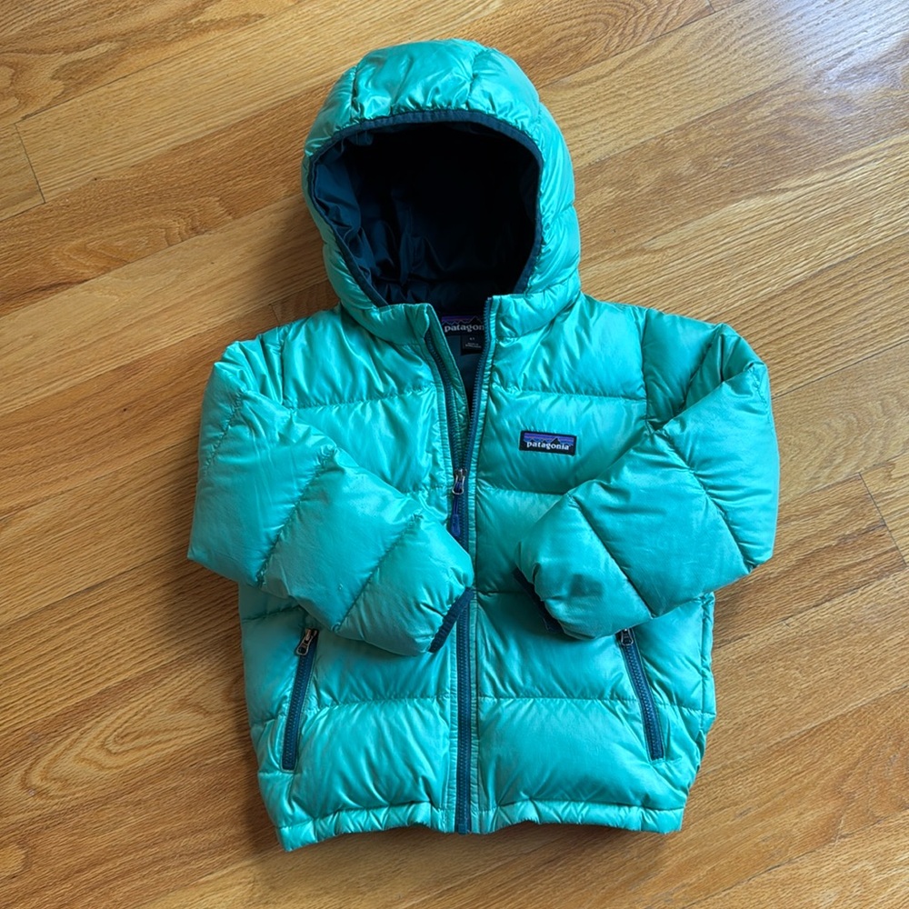 Patagonia Hi-Loft Down Hooded Sweater